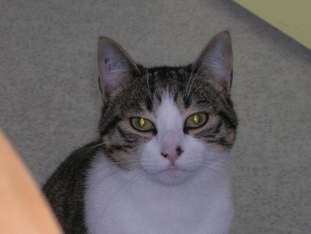 Mon petit bébé